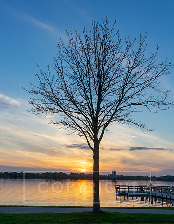 Growing Nightfall